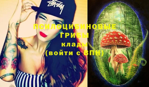 бошки Верхнеуральск