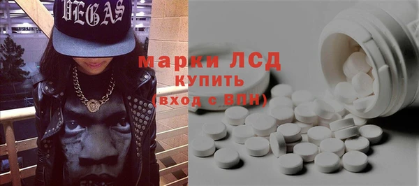 индика Верхний Тагил