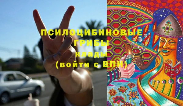 индика Верхний Тагил