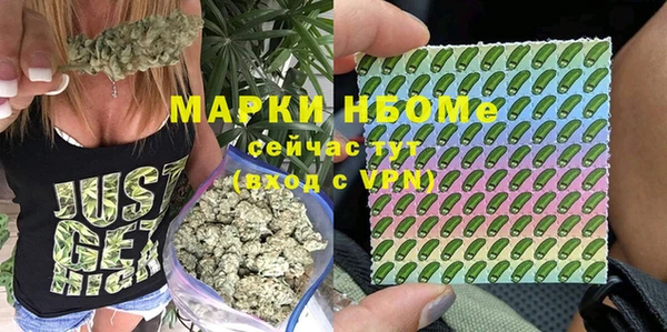 гидра Слюдянка