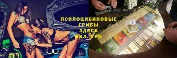 индика Верхний Тагил