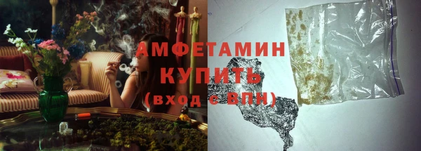 индика Верхний Тагил