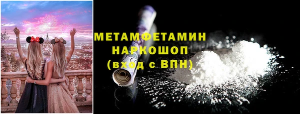 индика Верхний Тагил
